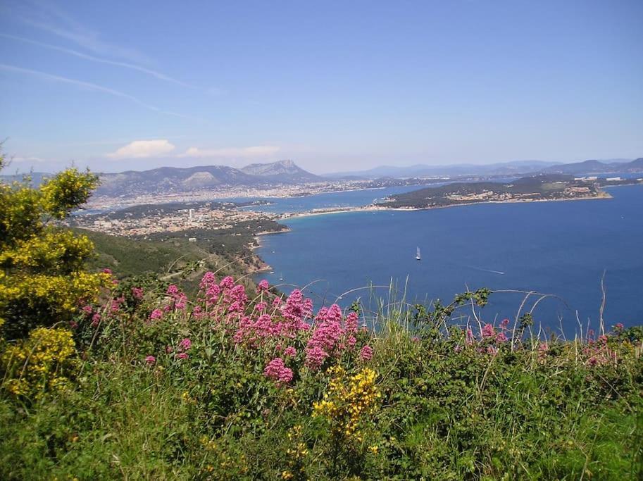 Villa De Charme A 5 Mn Plage La Seyne-sur-Mer Zewnętrze zdjęcie